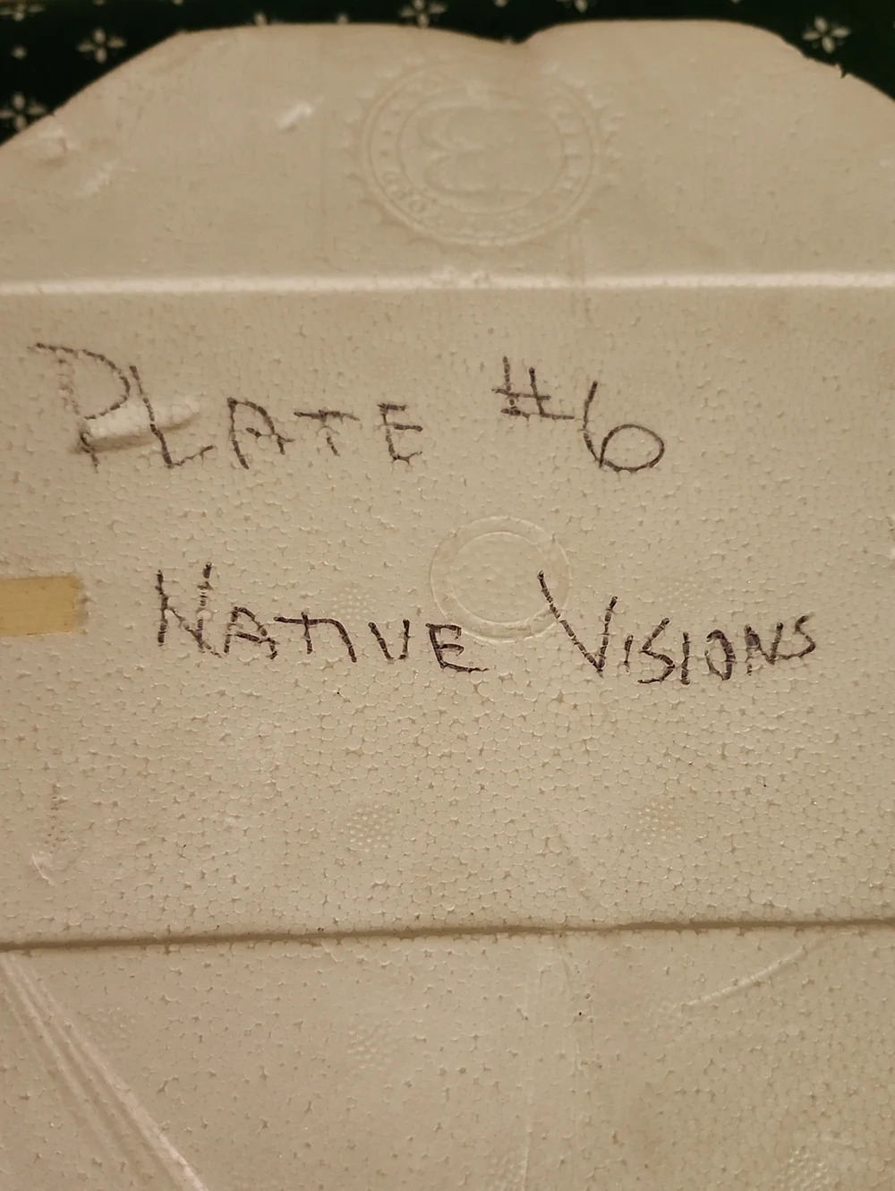 Native Visions Decorative Collector Plate 